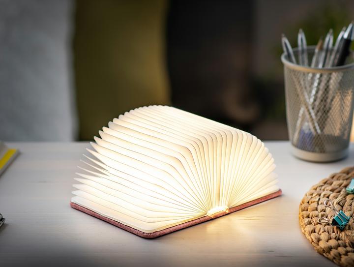 Actual product image Gingko Mini Smart Book Light