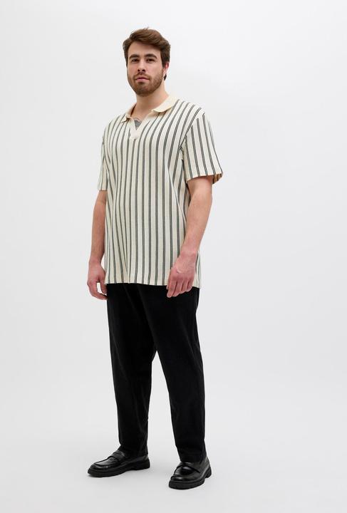 Image du produit Jack & Jones Plus Size Poloshirt Poloshirt (5XL)