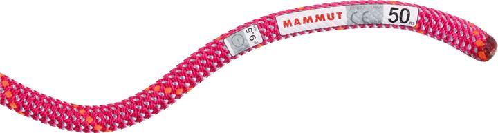 Actual product image Mammut 9.5 Crag Dry climbing rope (80 m)