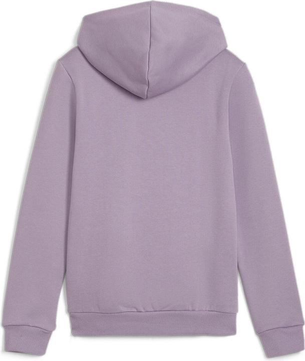 Actual product image Puma ESS Logo Hoodie FL G (164)