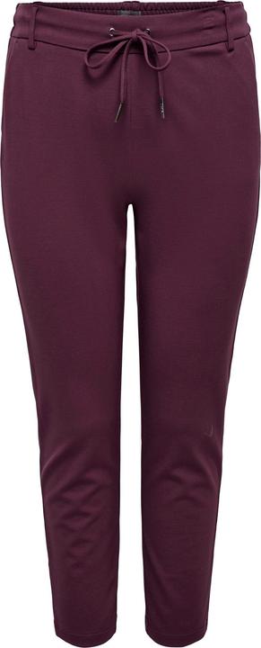 Only Cargoldtrash Life Classic Pant Noos