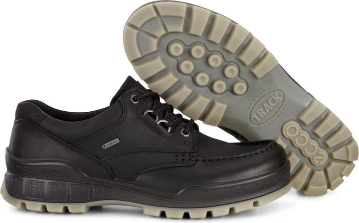 Ecco Track 25 Low GTX (45)