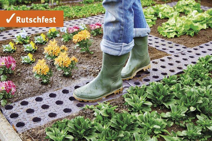 Produktbild Garantia Maxi-Beetplatte
