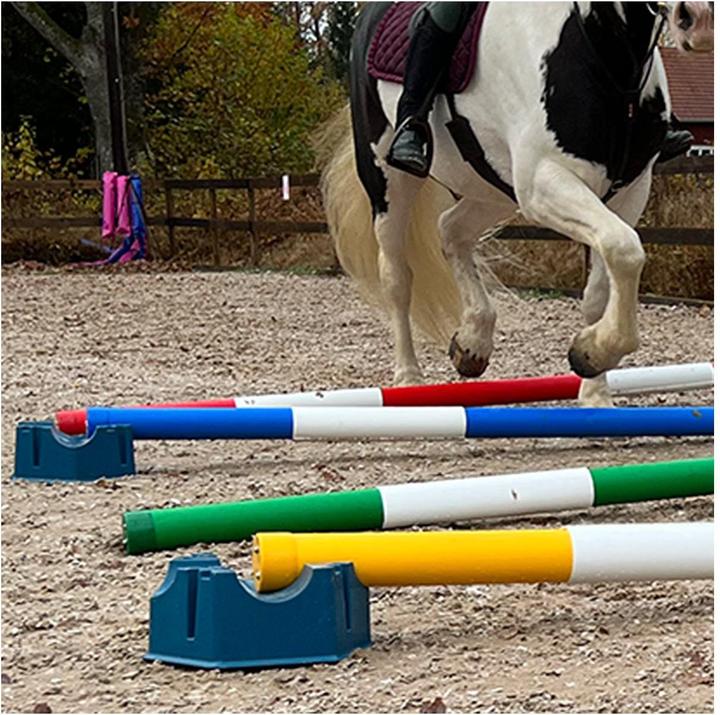 Produktbild Soulhorse Ponylettis Stangenblock