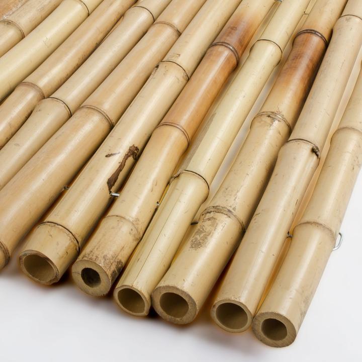 Immagine prodotto Casa Pura Bambus-Sichtschutzzau (250 cm)