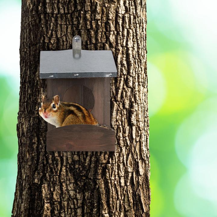 Produktbild Relaxdays Eichhörnchen Futterhaus