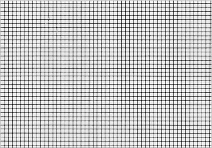 Biella Schede a quadretti A7 (A7, 200 g/m², 100 x)