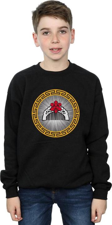 Actual product image Disney Boys Mulan Movie Flower Comb Sweatshirt (152, 158)