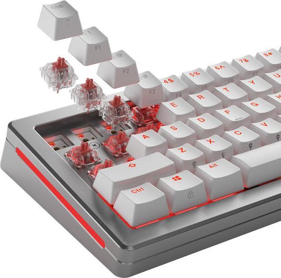 Produktbild Glorious Mechanical Switches (110pcs) - Fox - Ultralight (Linear) 30g