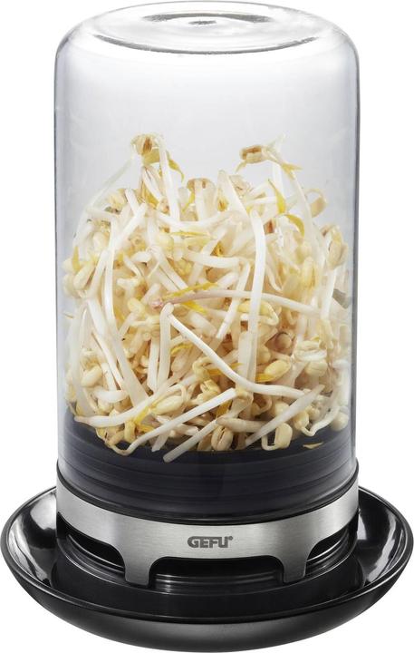 Actual product image GEFU Bivita rung glass