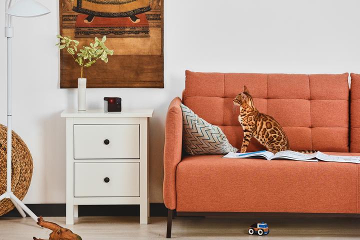Image du produit Petcube Play 2 Wi-Fi (Jouets avec herbe à chat)