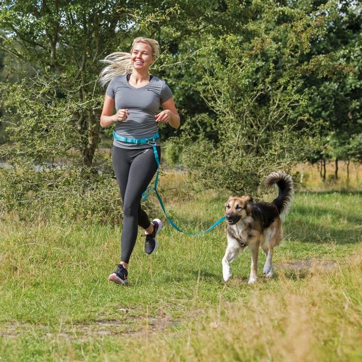 Productafbeelding Trixie Buikriem met riem (S, M, Hond, Joggen)