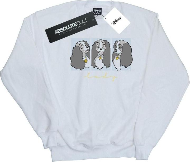 Actual product image Disney Boys Lady And The Tramp Lady Frames Sweatshirt (104)