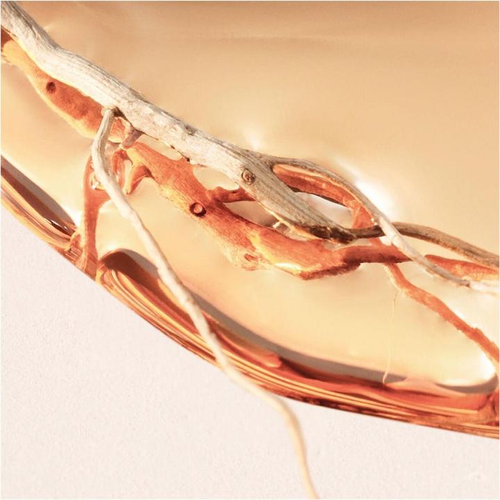 Image du produit Hugo Boss Intense Eau de Parfum (Eau de parfum, 30 ml)