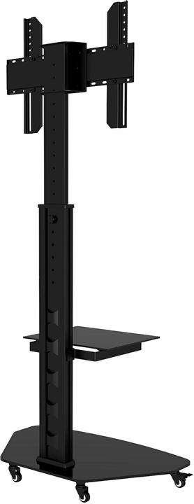 Produktbild Audioraq Home (Universal, 70", 40 kg)