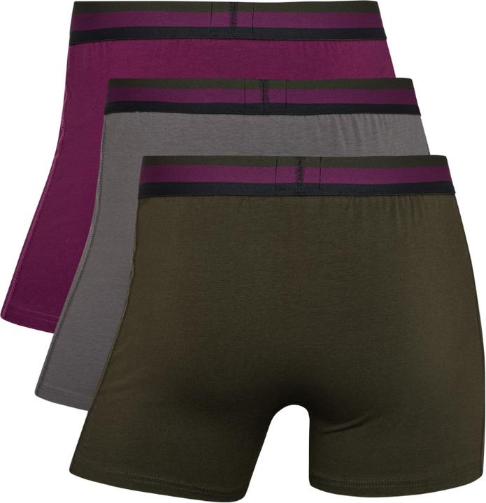 Produktbild CR7 Trunk (L, 3er Pack)