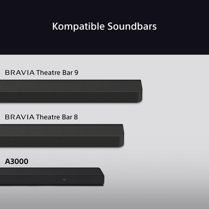 Actual product image Sony SA-RS8 (1 pair, 100 W)