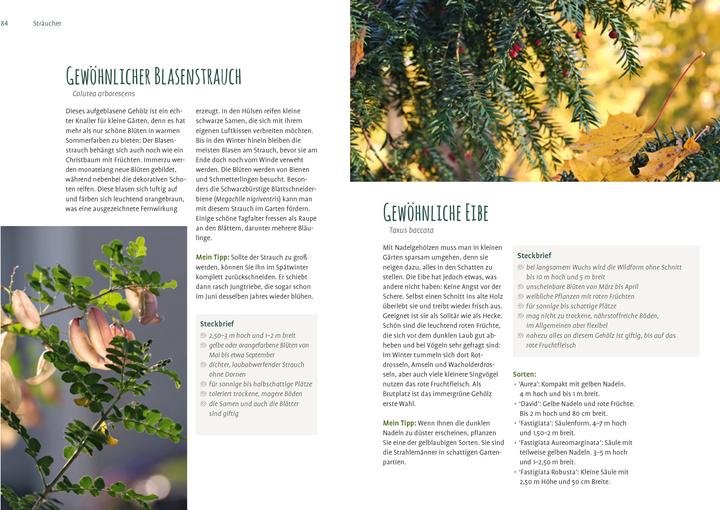 Produktbild Heimische Pflanzen für den Garten (Deutsch, Elke Schwarzer, 2022)