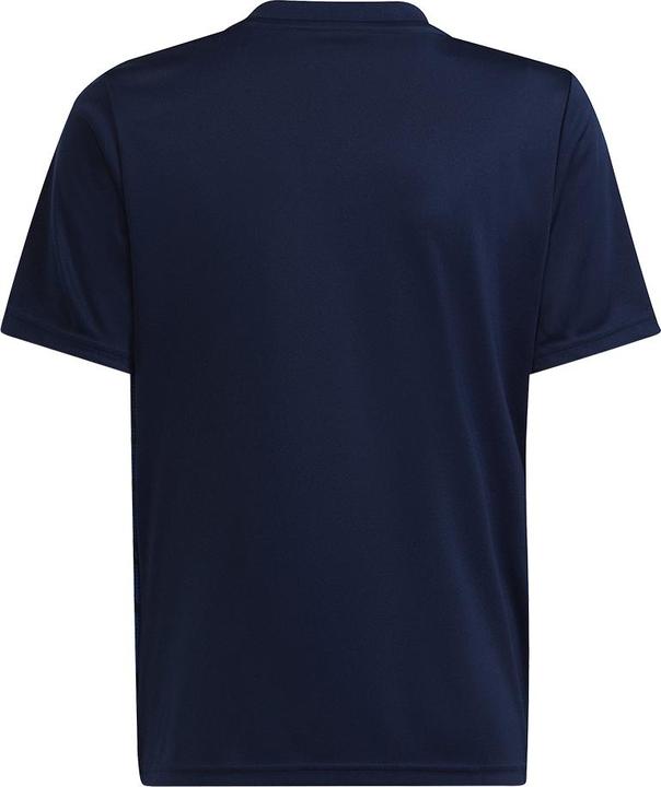 Produktbild adidas Team Icon 23 Trikot (176)