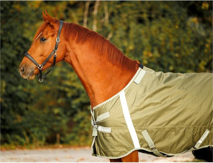 Image du produit Stallone Couverture de pré 50 g Outdoor Guard (145 cm)