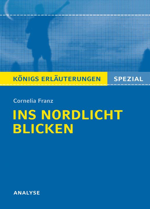 Produktbild Cornelia Franz: Ins Nordlicht blicken (Deutsch, Cornelia Franz, 2017)