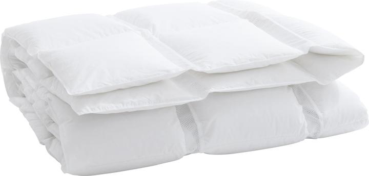Produktbild Billerbeck Climabalance Classic (600 g, 160 x 240 cm)