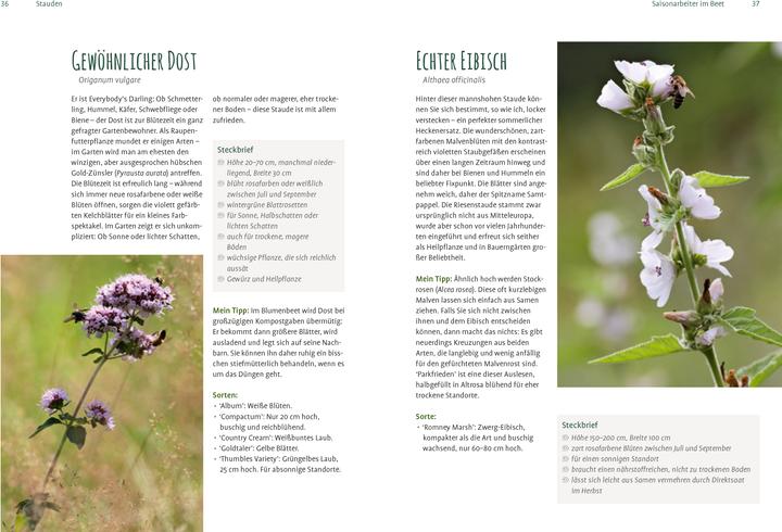 Produktbild Heimische Pflanzen für den Garten (Deutsch, Elke Schwarzer, 2022)