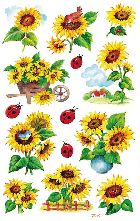 Actual product image Z-Design Sunflowers