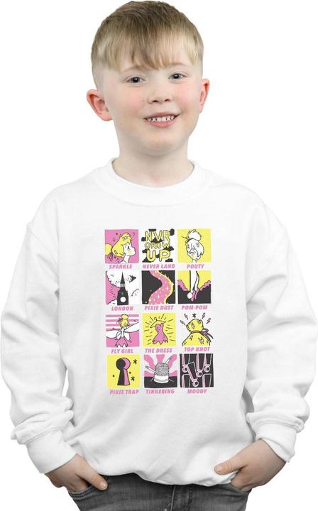 Produktbild Disney Tinkerbell Squares Sweatshirt Jungen (140, 146)