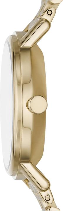 Image du produit Skagen Dôme de Lille (Montre analogique, 32 mm)