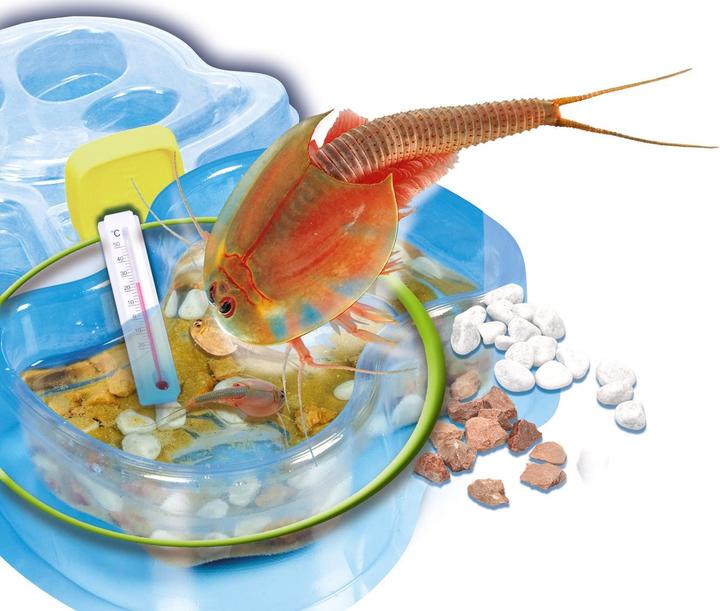 Image du produit Clementoni Recharge pour Galileo