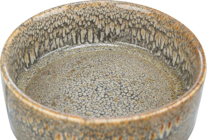 Actual product image Trixie Ceramic bowl (0.40 l)