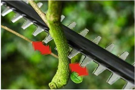 Productafbeelding Bosch Home & Garden Universele heggenstok (Draadloze heggenschaar)