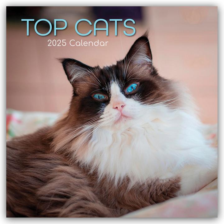 Produktbild Top Cats - Top-Katzen 2025 - 16-Monatskalender (305 x 305 mm, Harter Einband, Deutsch, Englisch)
