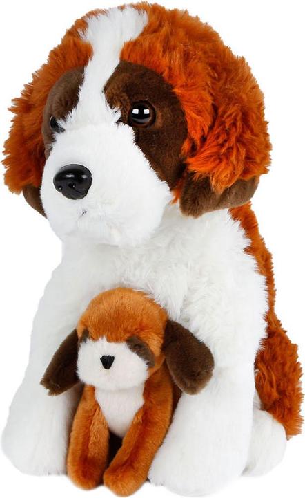 Immagine prodotto Van Manen Veenendaal Portami a casa, cane giocattolo con peluche per bambini, 26 cm (26 cm)