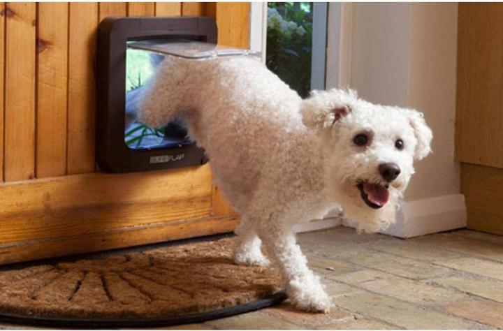 Immagine prodotto SureFlap Porta per gatti XXL (Zampa per gatti con microchip)
