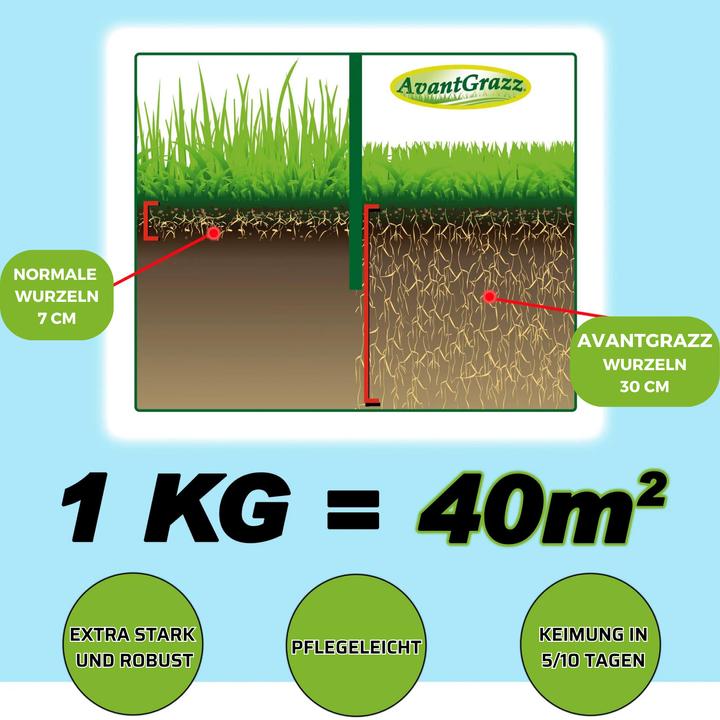 Actual product image Best direct Avant Grazz
