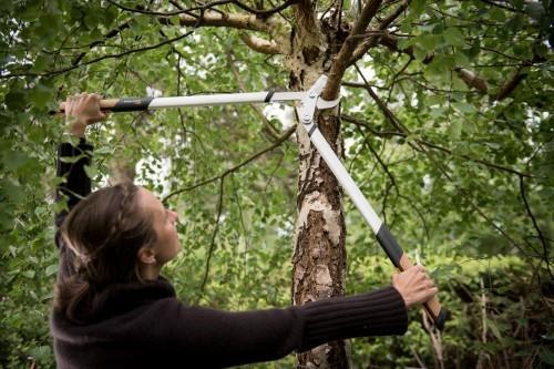 Immagine prodotto Fiskars Forbici da potatura Bypass Quantum 80 cm