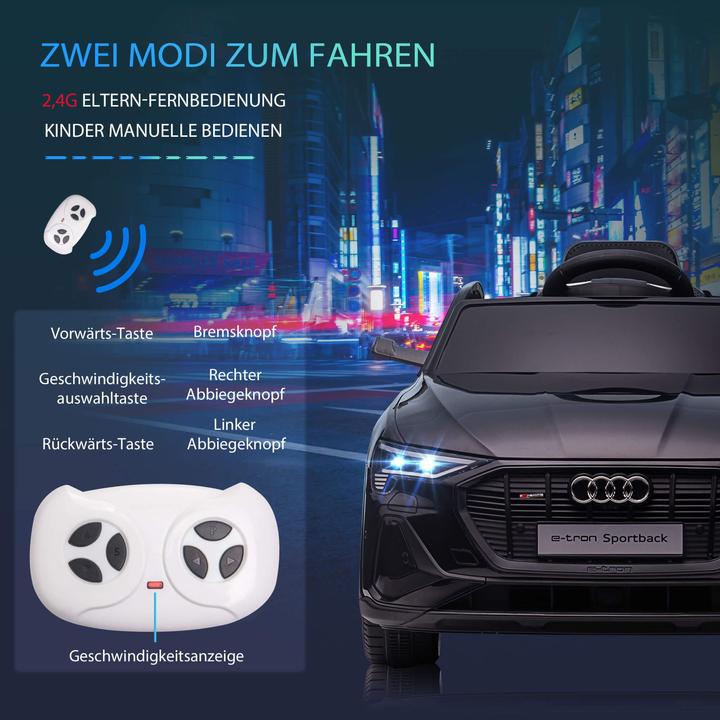 Actual product image Jamb Audi e-tron (12 V)