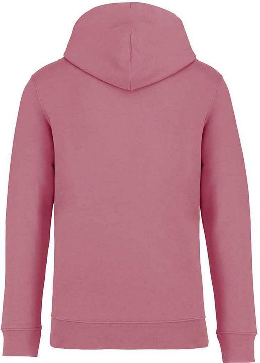 Actual product image Native Spirit Unisex Adult Heavyweight Hoodie (M)