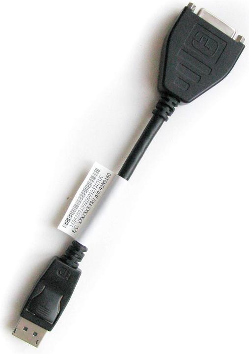 Image du produit Lenovo Câble DisplayPort (0.20 m, DisplayPort)