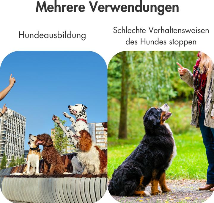 Actual product image Suba High-Frequency Dog Whistle (Upbringing)