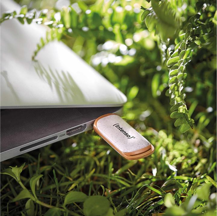 Produktbild Intenso Green Line (64 GB, USB-A)