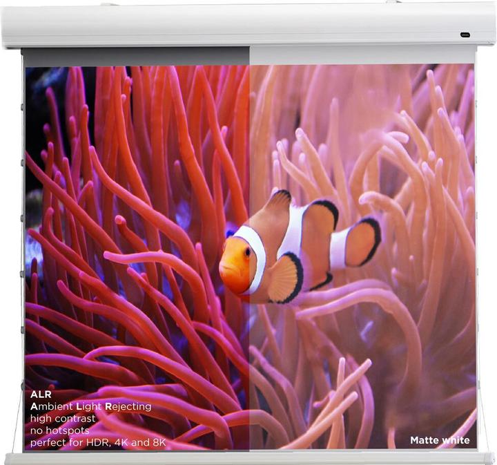 Produktbild Celexon HomeCinema (135", 16:9)