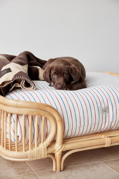 Produktbild Oyoy Hunde-Bett Otto (Hund)