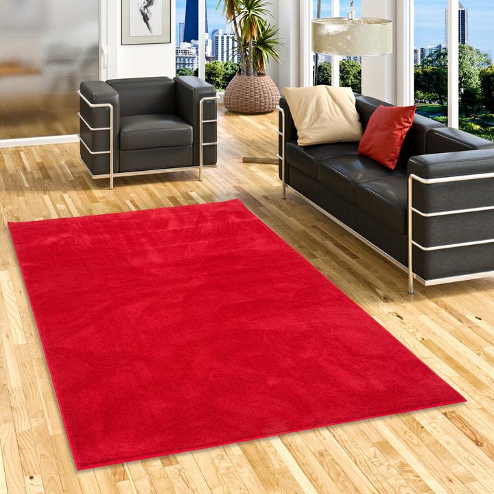 Actual product image Snapstyle Luxury Super Soft high pile long pile carpet Deluxe (160 x 240 cm)