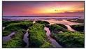 Image du produit Samsung QB75B (3840 x 2160 pixels, 75")