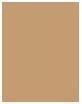Actual product image Dermacol Make-Up Cover SPF30 (No 223)