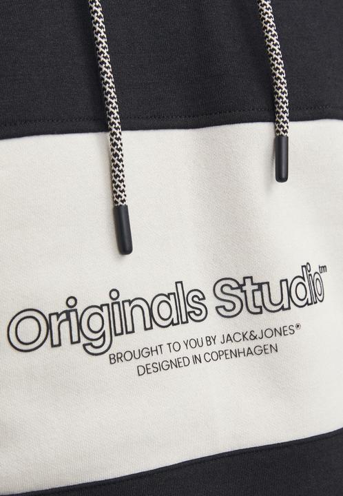 Image du produit Jack & Jones Sweat à capuche (XL)