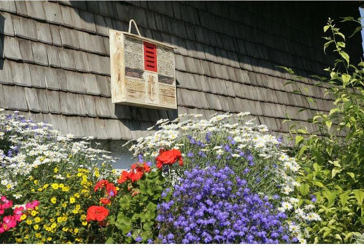Produktbild Windhager Insekten Grand Hotel Ambient (Ohrwürmer, Hummeln, Marienkäfer, Wildbienen)